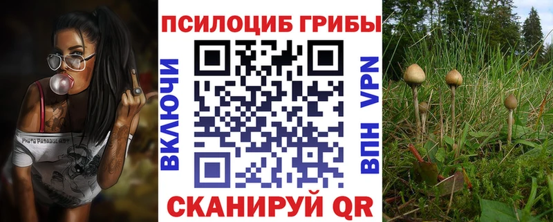 Галлюциногенные грибы Psilocybine cubensis  Купить  Кохма 